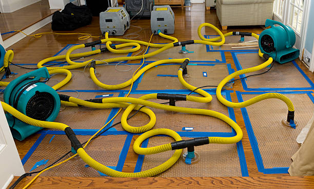 Professional Storm Water Damage Restoration technician working in Charleston, ME